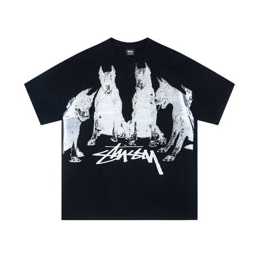 Stusy Graphic tee